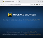 photo:Mullvad Browser 